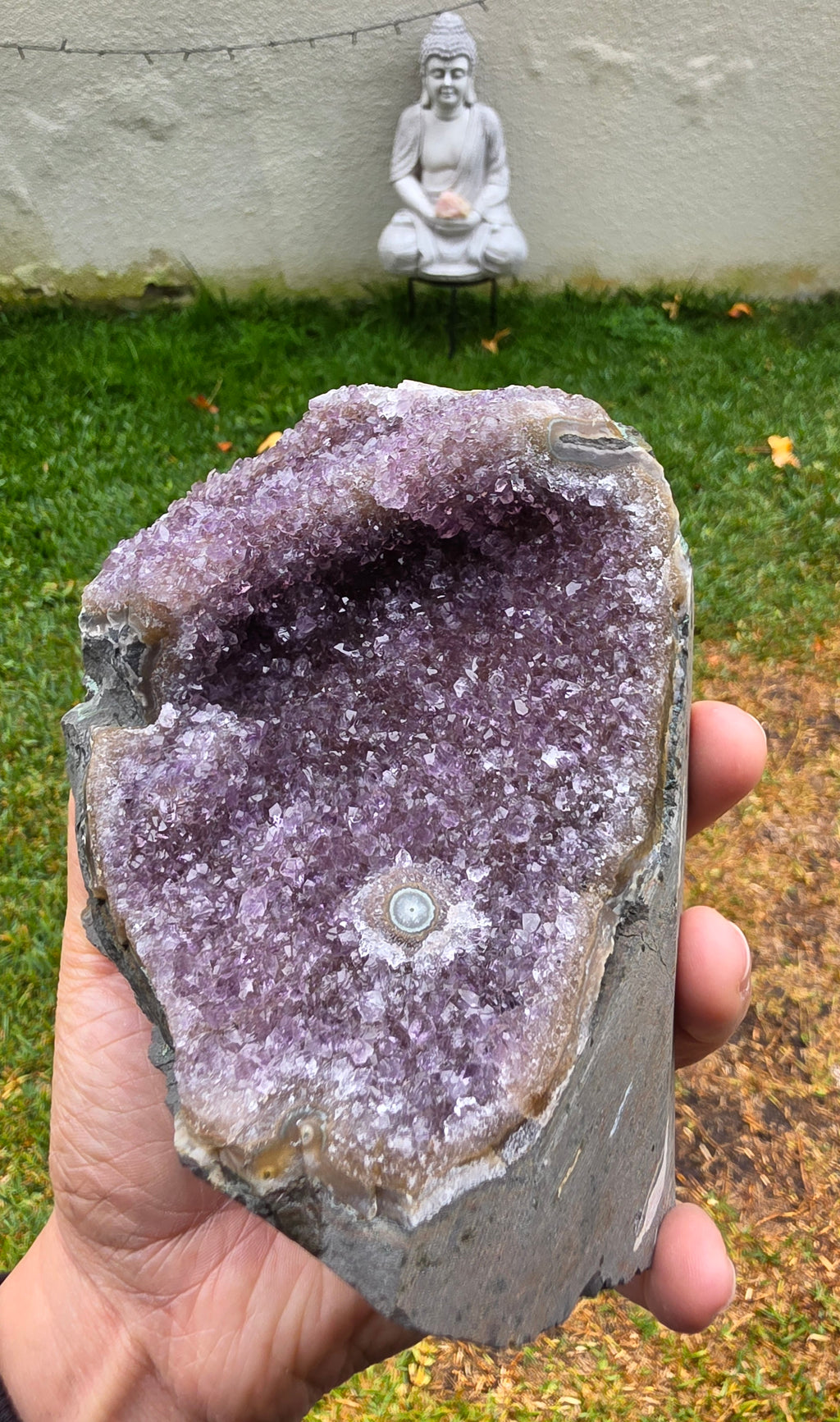 Drusa de Amatista Natural con Formación Central